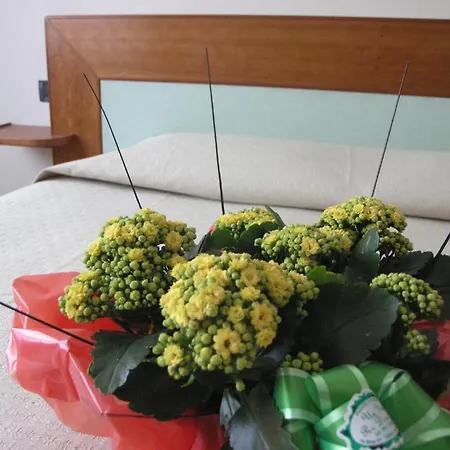 Hotel Smeraldo Torino-3